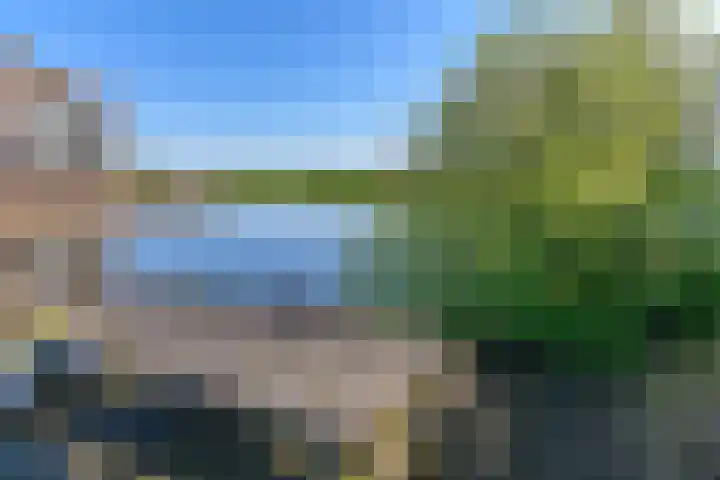 Skûtsje 64 Gorredijk thumbnail 19