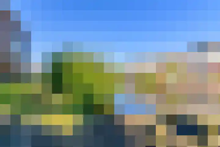Skûtsje 64 Gorredijk thumbnail 20