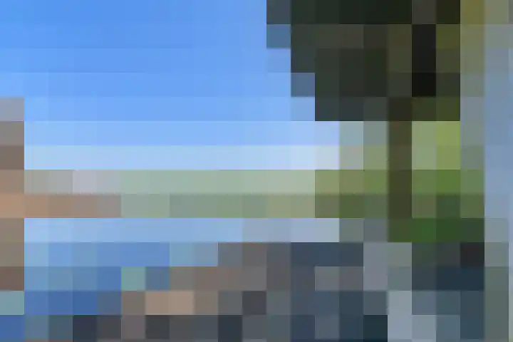 Skûtsje 64 Gorredijk thumbnail 22