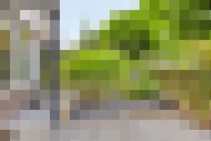 Skûtsje 64 Gorredijk thumbnail 23