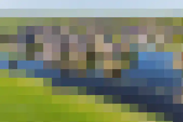 Skûtsje 64 Gorredijk thumbnail 28