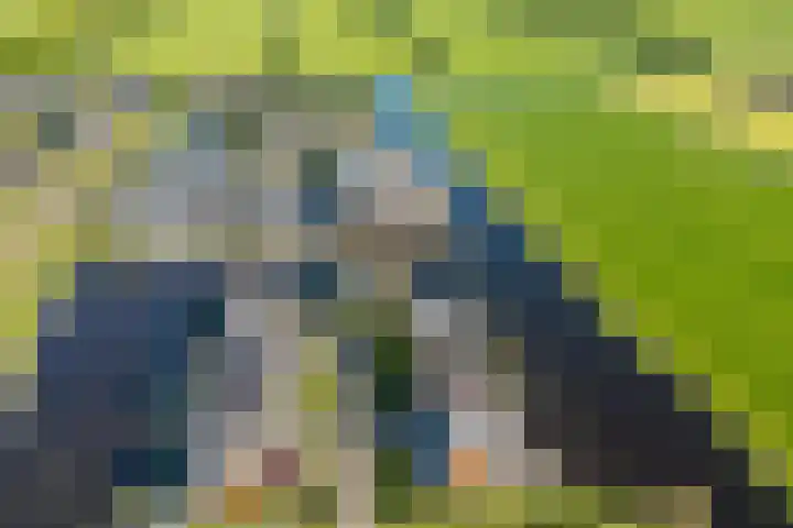 Skûtsje 64 Gorredijk thumbnail 29