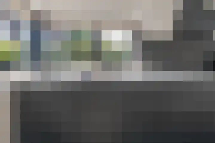 Skûtsje 64 Gorredijk thumbnail 44