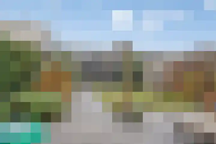Skûtsje 64 Gorredijk thumbnail 45