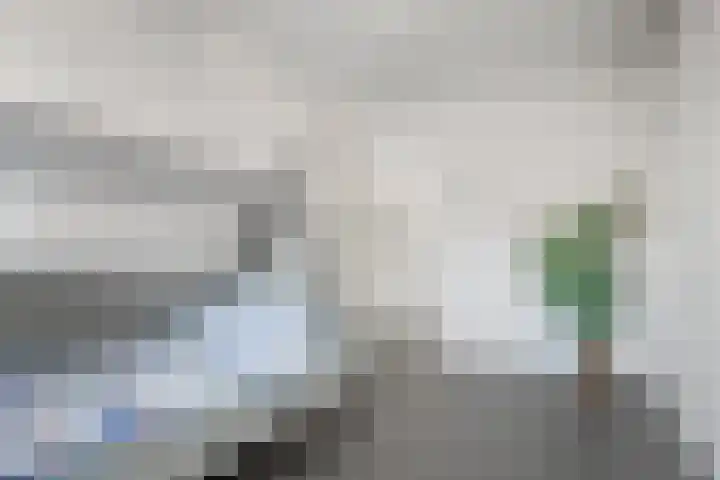 Skûtsje 64 Gorredijk thumbnail 57