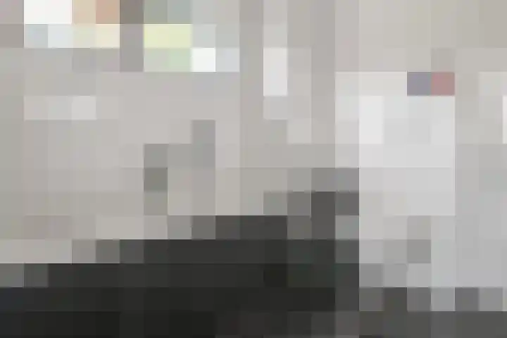 Skûtsje 64 Gorredijk thumbnail 59