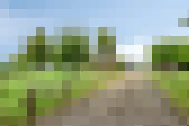 Slaagseweg 10 Hoogland thumbnail 4
