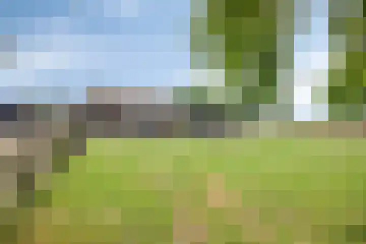 Slaagseweg 10 Hoogland thumbnail 58