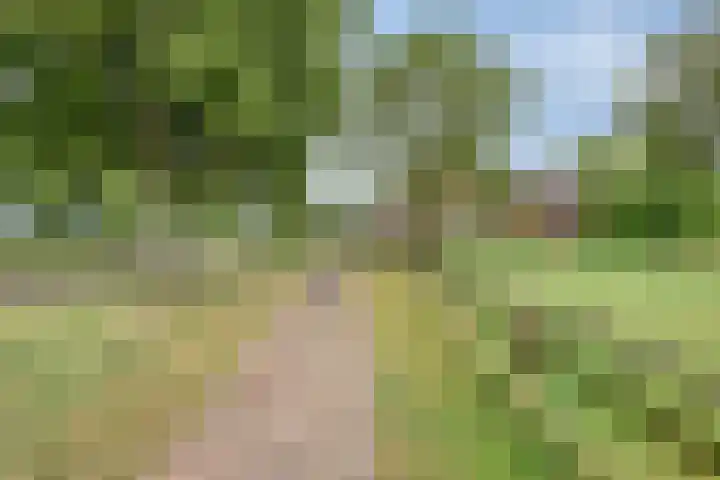 Slaagseweg 10 Hoogland thumbnail 66