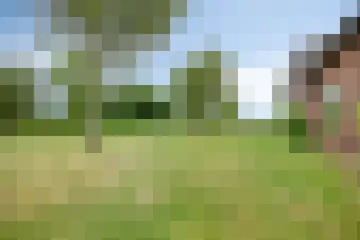 Slaagseweg 10 Hoogland thumbnail 67