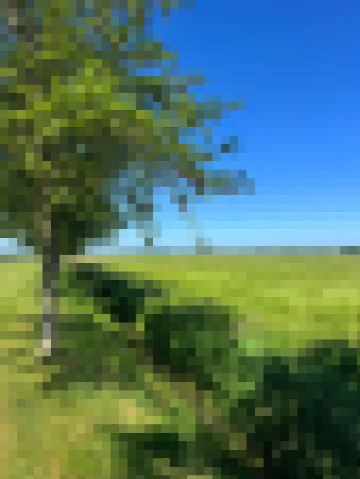 Slaagseweg 35 Hoogland thumbnail 61