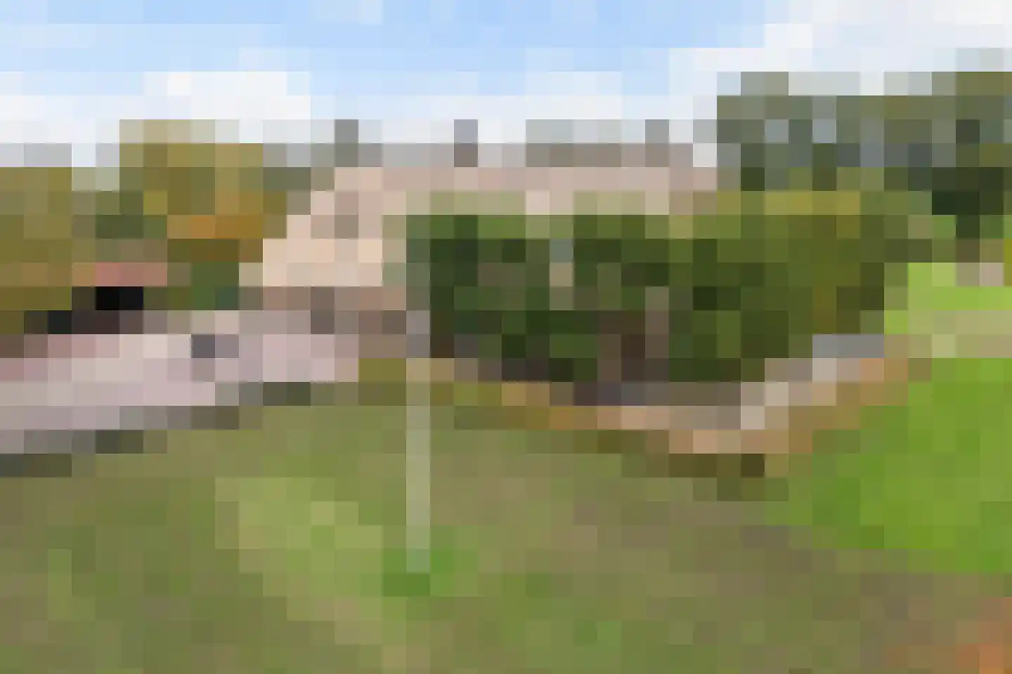 Slaagseweg 8 Hoogland thumbnail 33