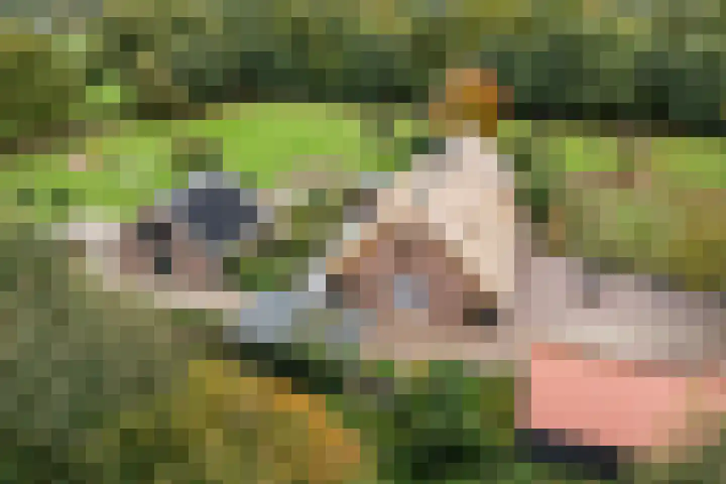 Slaagseweg 8 Hoogland thumbnail 35