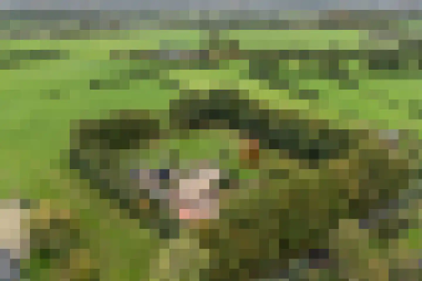 Slaagseweg 8 Hoogland thumbnail 4