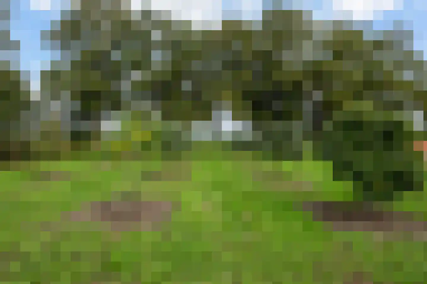 Slaagseweg 8 Hoogland thumbnail 43