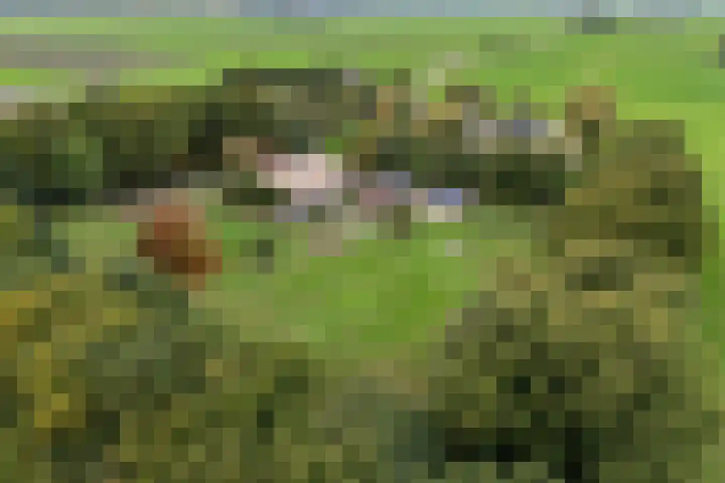 Slaagseweg 8 Hoogland thumbnail 45