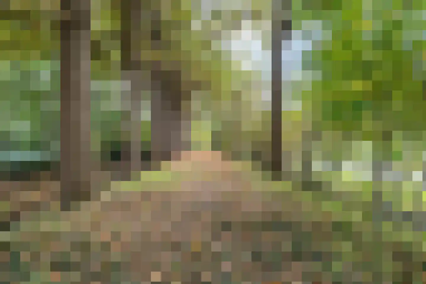 Slaagseweg 8 Hoogland thumbnail 46