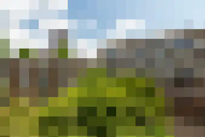 Slaak 108 Rotterdam thumbnail 21