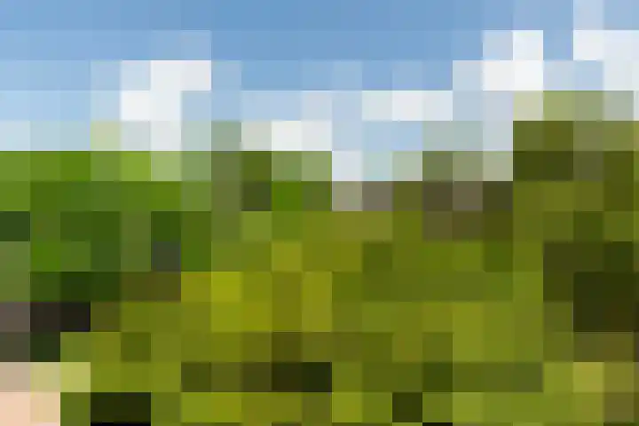 Slaak 108 Rotterdam thumbnail 23