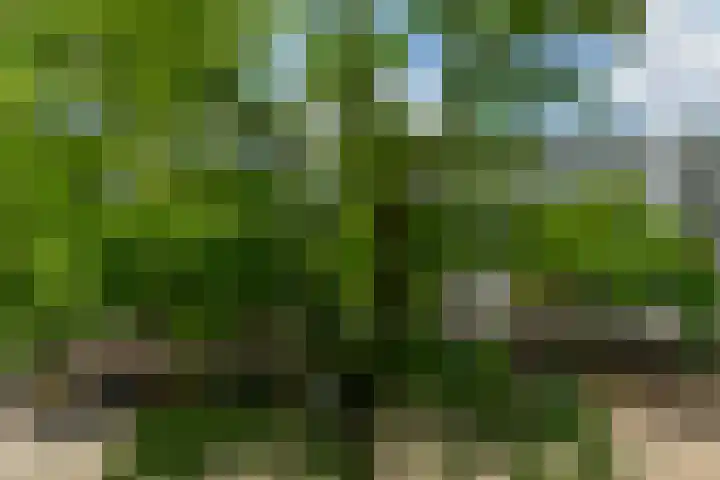 Slaak 108 Rotterdam thumbnail 27