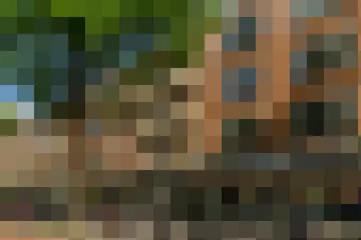 Slaak 108 Rotterdam thumbnail 30