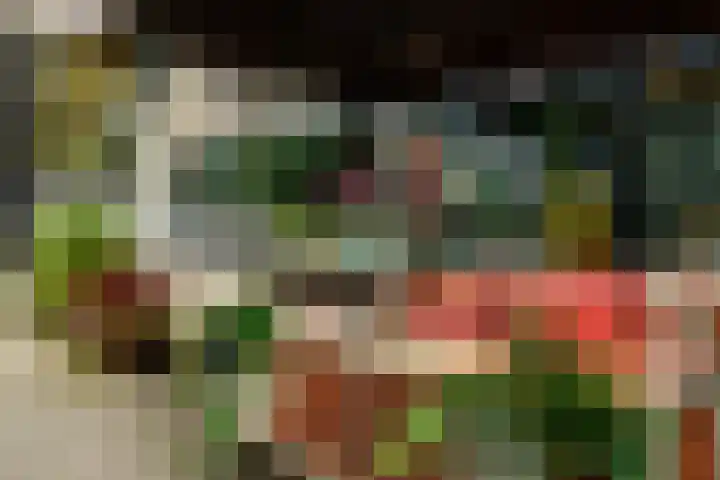 Slaak 108 Rotterdam thumbnail 32