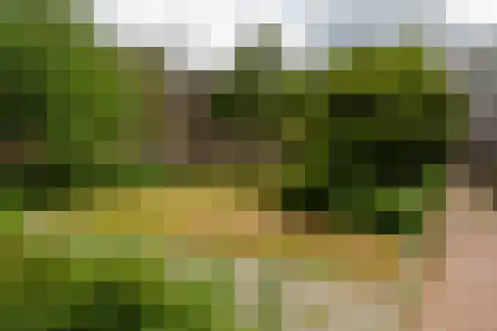 Slaak 108 Rotterdam thumbnail 33