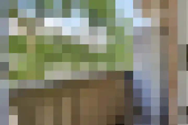 Slaak 130 Rotterdam thumbnail 10