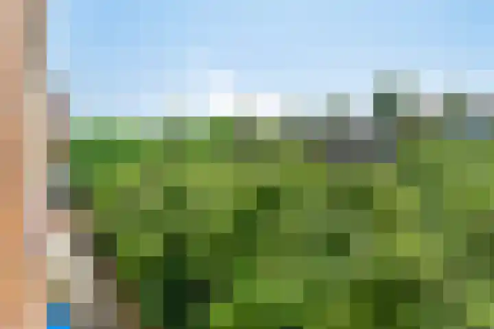Slaak 130 Rotterdam thumbnail 13