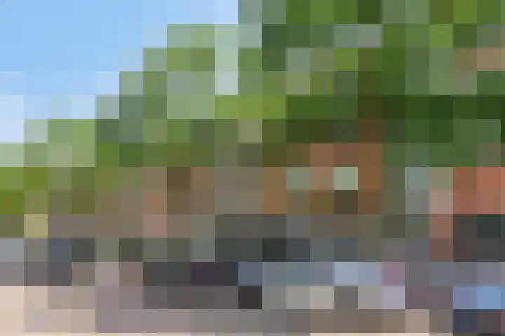 Slaak 130 Rotterdam thumbnail 20
