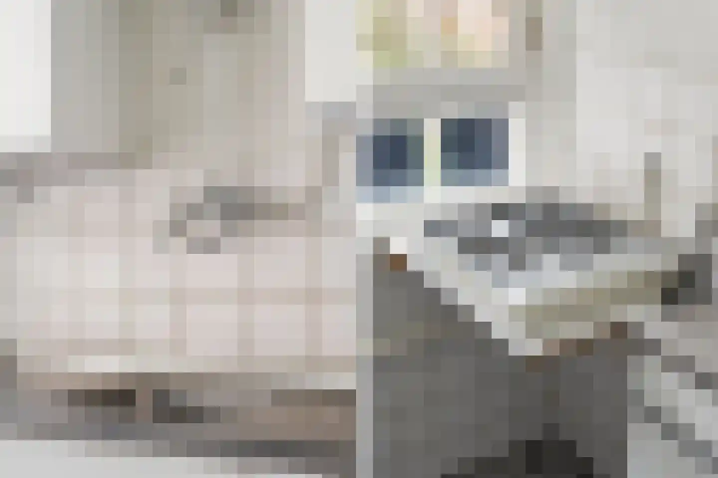 Slaak 138 Rotterdam thumbnail 12