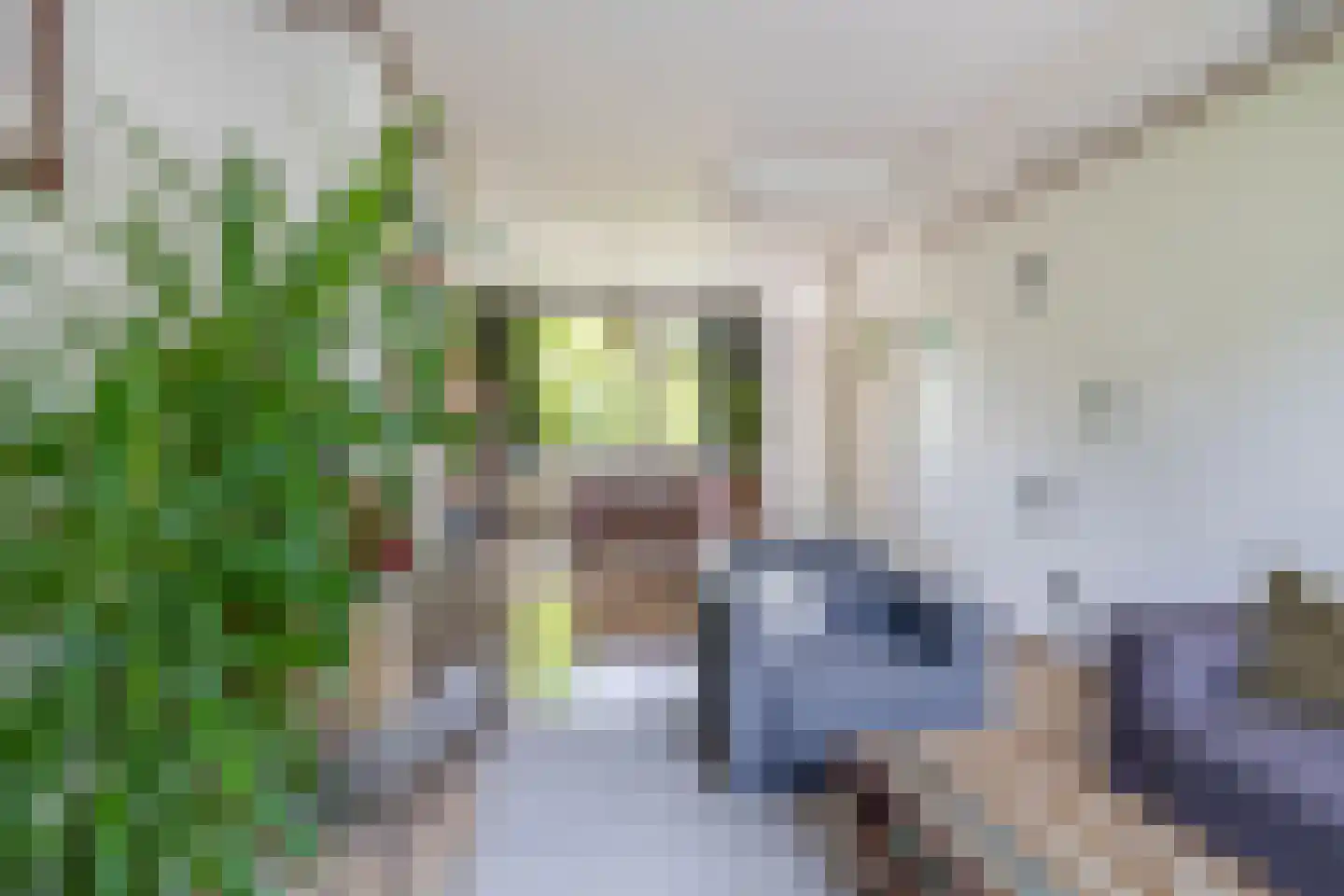 Slaak 76 Rotterdam thumbnail 12
