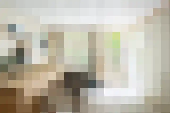 Slaakstraat 3 2 Amsterdam thumbnail 33