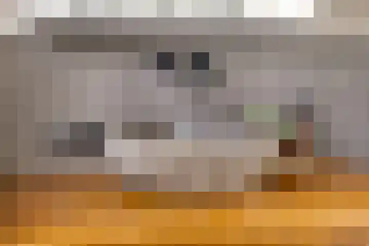 Slaakweg 16 Heinkenszand thumbnail 20