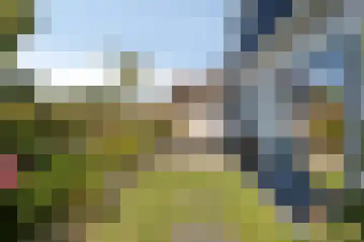 Slaakweg 16 Heinkenszand thumbnail 27