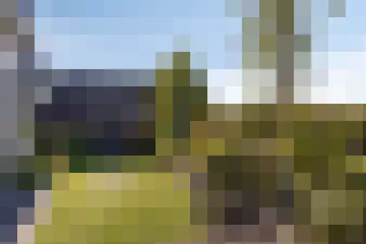Slaakweg 16 Heinkenszand thumbnail 28