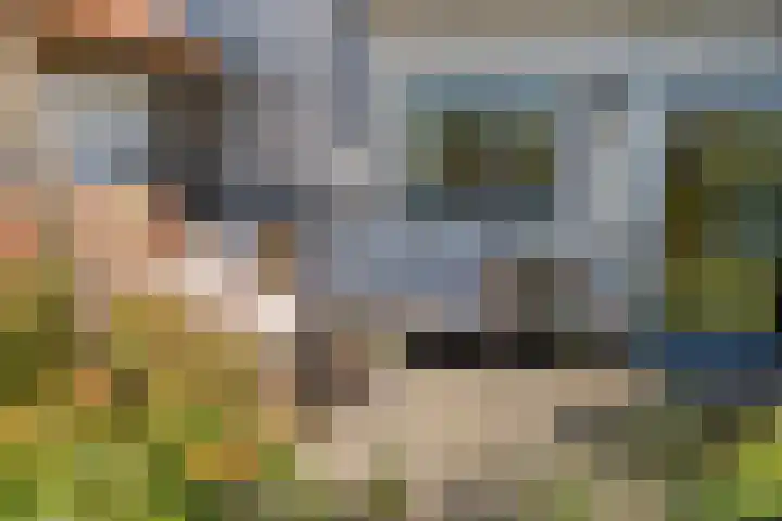 Slaakweg 16 Heinkenszand thumbnail 30