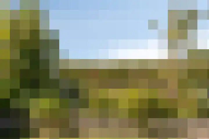 Slaakweg 16 Heinkenszand thumbnail 31