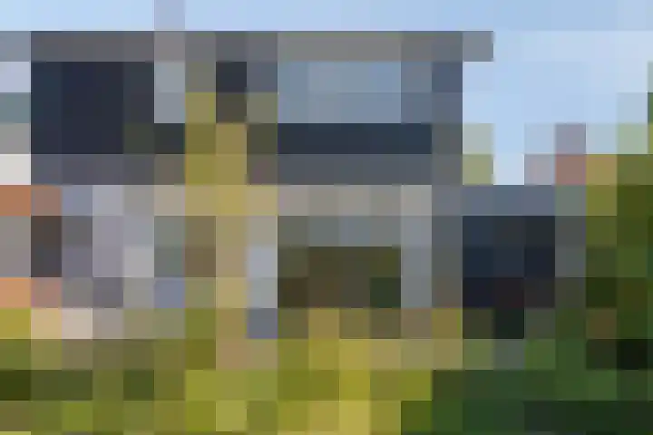 Slaakweg 16 Heinkenszand thumbnail 32