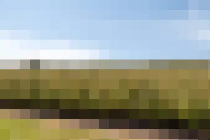 Slaakweg 16 Heinkenszand thumbnail 34
