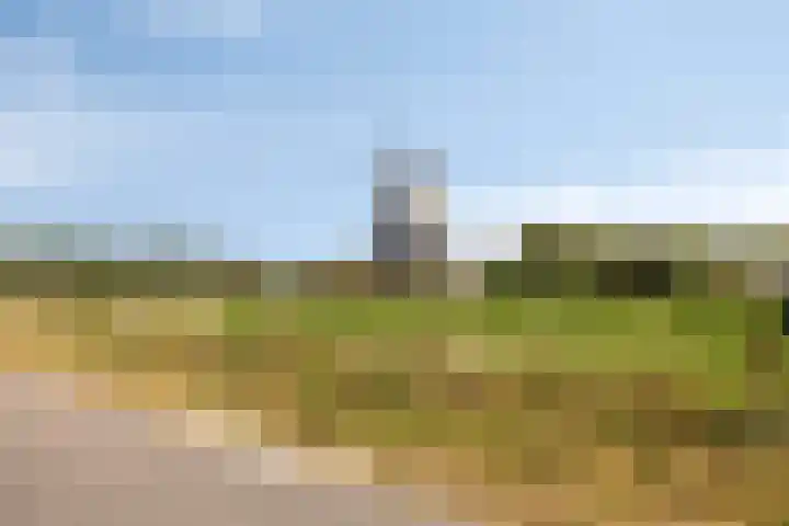 Slaakweg 16 Heinkenszand thumbnail 35