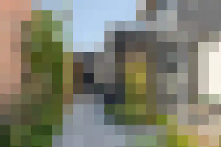 Slaakweg 16 Heinkenszand thumbnail 5