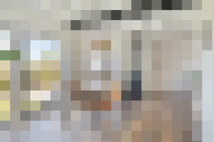 Slaakweg 16 Heinkenszand thumbnail 8