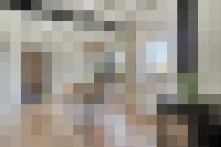 Slaakweg 16 Heinkenszand thumbnail 9