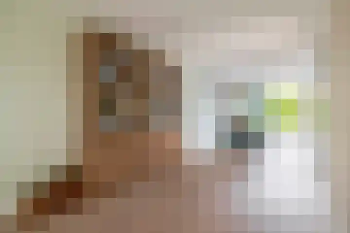 Slachdrompel 10 Lemmer thumbnail 12