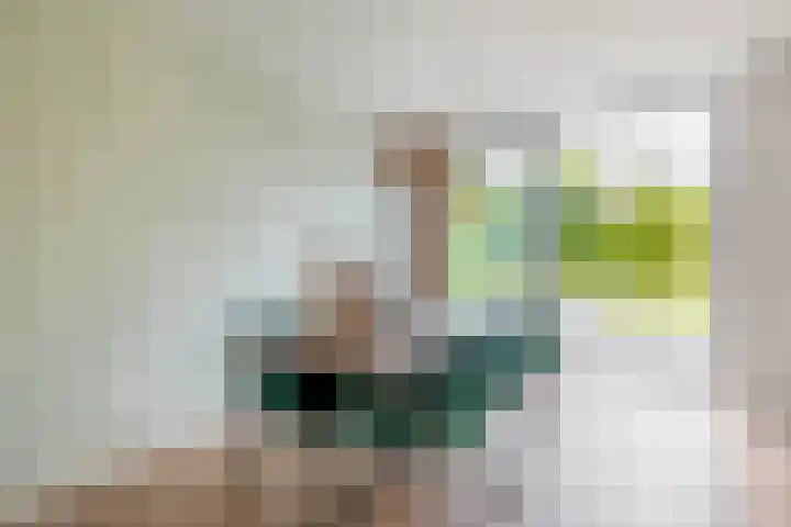 Slachdrompel 10 Lemmer thumbnail 13