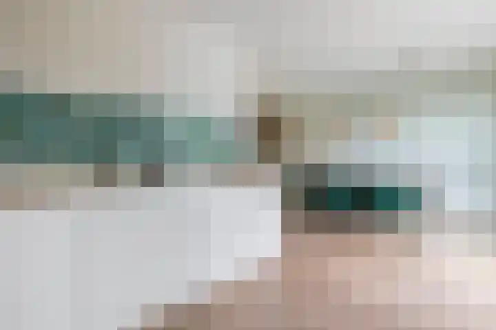 Slachdrompel 10 Lemmer thumbnail 14