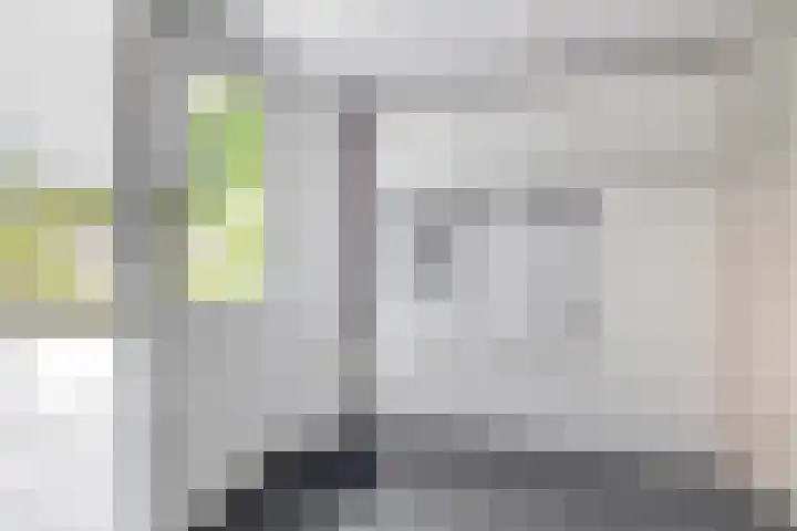 Slachdrompel 10 Lemmer thumbnail 18