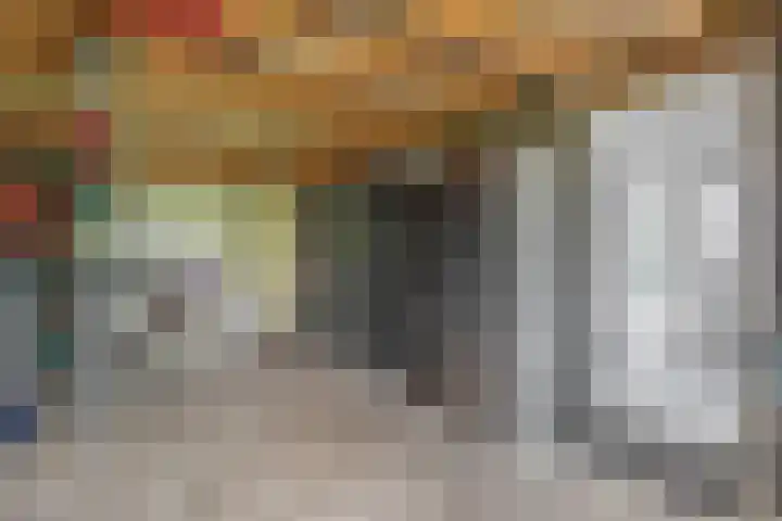 Slachdrompel 10 Lemmer thumbnail 19
