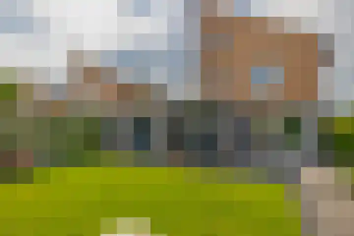 Slachdrompel 10 Lemmer thumbnail 20